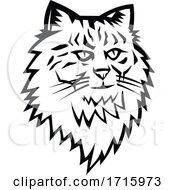 Poster, Art Print Of Head Of Siberian Forest Cat Mascot Black And White