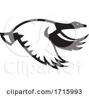 Poster, Art Print Of Canada Goose Flying Side View Retro Black And White