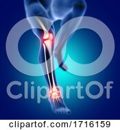 3D Male Medical Figure With Knee And Ankle Bone Highlighted