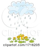 Poster, Art Print Of Rain Cloud Over Mushrooms