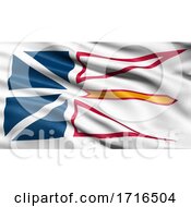 Flag Of Newfoundland And Labrador Waving In The Wind