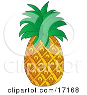 Perfect Pineapple Fruit With Leaves On The Top Clipart Illustration by Maria Bell
