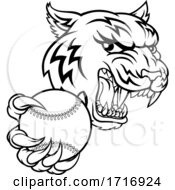 Tiger Tennis Player Animal Sports Mascot