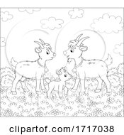 Poster, Art Print Of Goat Family In Black And White