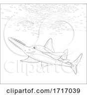 Poster, Art Print Of Swimming Sawfish Carpenter Shark In Black And White
