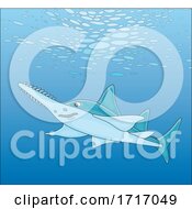 Poster, Art Print Of Swimming Sawfish Carpenter Shark