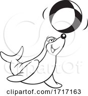 Poster, Art Print Of Seal Playing With A Beach Ball