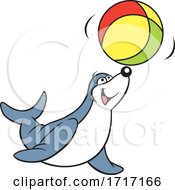 Seal Playing With A Beach Ball