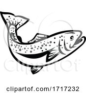 Poster, Art Print Of Speckled Trout Spotted Seatrout Or Cynoscion Nebulosus Jumping Up Retro Black And White
