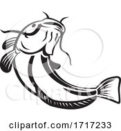 Poster, Art Print Of European Catfish Or Wels Catfish Going Up Black And White