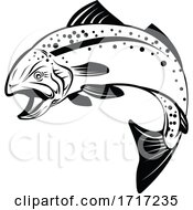 Poster, Art Print Of Speckled Trout Spotted Seatrout Or Cynoscion Nebulosus Jumping Up Retro Black And White