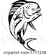 Pompano Dolphinfish