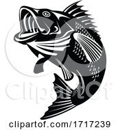 Poster, Art Print Of Florida Largemouth Bass Swimming Up Black And White Retro