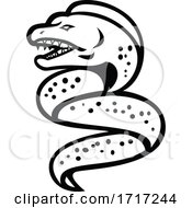 Poster, Art Print Of Angry Moray Eel Sports Mascot Retro Black And White