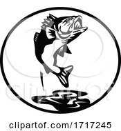 Poster, Art Print Of Largemouth Bass Jumping Up Retro Black And White