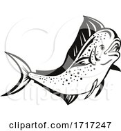 Poster, Art Print Of Mahi Mahi Or Common Dolphinfish Jump Up Retro Black And White