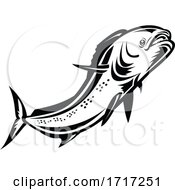 Common Dolphinfish by patrimonio
