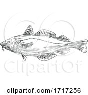 Poster, Art Print Of Atlantic Cod Codling Fish Viewed From Side Drawing Black And White