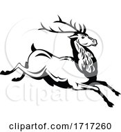 Poster, Art Print Of Red Deer Stag Running And Jumping Side View Retro Black And White