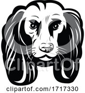 Poster, Art Print Of Sad Cocker Spaniel Dog Front View Retro Black And White