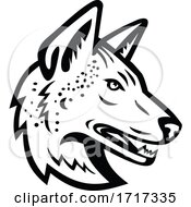Poster, Art Print Of Gray Wolf Or Arabian Wolf Head Mascot Black And White