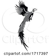 Silhouette Of Common Or Ring Necked Pheasant Flying Up Retro Black And White