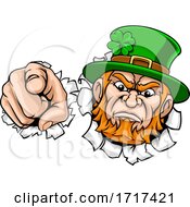 Leprechaun Mascot Cartoon Character Pointing