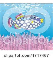 Poster, Art Print Of Parrotfish