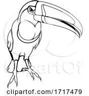 Poster, Art Print Of Toucan Bird Mascot In Black And White