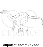 Poster, Art Print Of Diplodocus Dinosaur Black And White
