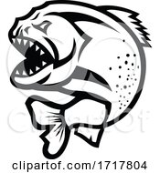 Poster, Art Print Of Angry Piranha Jumping Up Isolated Black And White