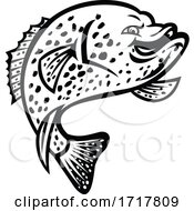 Crappie Fish Jumping Up Mascot Black And White