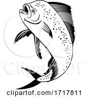 Dorado Dolphinfish Or Mahi Mahi Jumping Up Retro Black And White