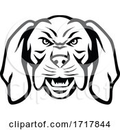 Poster, Art Print Of Angry Hungarian Vizsla Dog Head Mascot Black And White