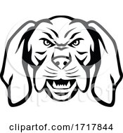 Angry Hungarian Vizsla Dog Head Mascot Black And White