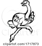Ostrich Running At Full Speed Side View Mascot Black And White by patrimonio