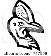 Head Of A Cassowary Mascot Black And White by patrimonio