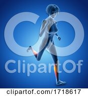 Poster, Art Print Of 3d Female Figure In Sprinting Pose With Muscles Used Highlighted