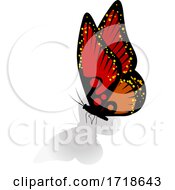 Poster, Art Print Of Red And Orange Butterfly With A Shadow