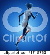 3D Female Figure In Running Pose With Muscles Used Highlighted