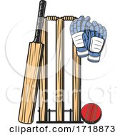 Cricket Sports Design