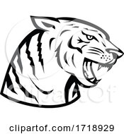 Poster, Art Print Of Head Of Bengal Tiger Growling Side Woodcut Retro Black And White