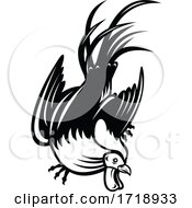 Poster, Art Print Of Junglefowl Cockerel Or Rooster In Fighting Stance Retro Black And White