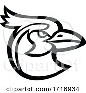 Head Of Black Throated Magpie Jay Mascot Black And White