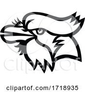Poster, Art Print Of Head Of Blue Jay Head Mascot Black And White