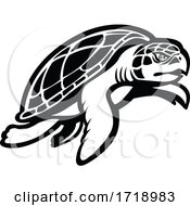 Poster, Art Print Of Kemps Ridley Sea Turtle Swimming To Right Mascot Black And White