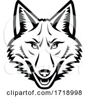 Poster, Art Print Of Head Of A Coyote Front View Mascot Black And White