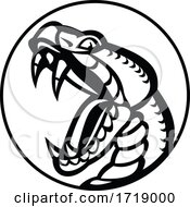 Poster, Art Print Of Aggressive Copperhead Snake Baring Fangs Mascot Black And White