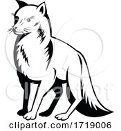 Poster, Art Print Of Arctic Fox Polar Fox Or Snow Fox Side View Retro Black And White