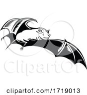 Megabat Fruit Bat Old World Fruit Bat Or Flying Fox In Flight Woodcut Retro Black And White